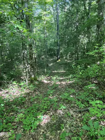 Lot 7 Fishing Creek Road Enfield NC 27823