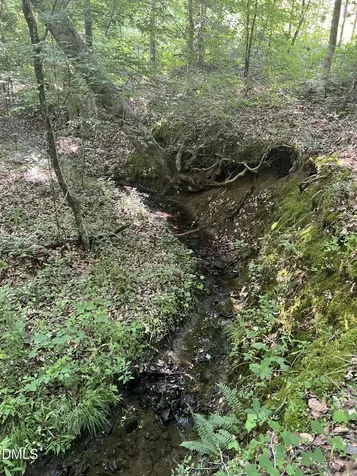 Lot 7 Fishing Creek Road Enfield NC 27823