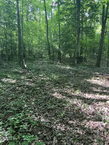 Lot 7 Fishing Creek Road Enfield NC 27823
