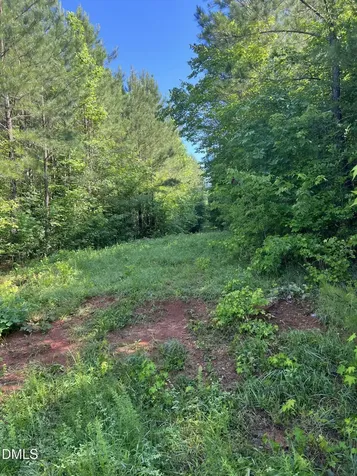 Lot 7 Fishing Creek Road Enfield NC 27823