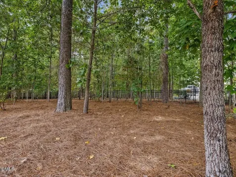 1074 Golfers View Pittsboro NC 27312