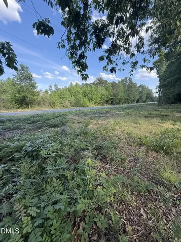 11 Mary Emma Drive Goldston NC 27252