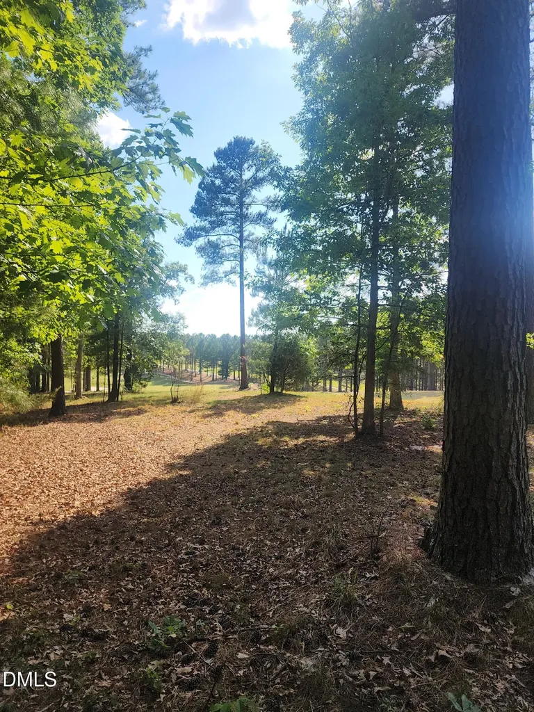 65 High Ridge Lane Pittsboro NC 27312
