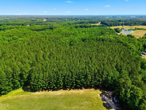 9.97 Acres S Highway 39 Zebulon NC 27597