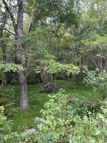 Lot 3 264 Alternate Bailey NC 27807