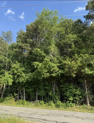 0 Jessie Bridges Road Siler City NC 27344