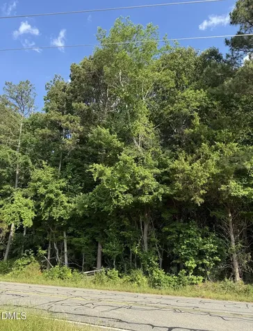 0 Jessie Bridges Road Siler City NC 27344