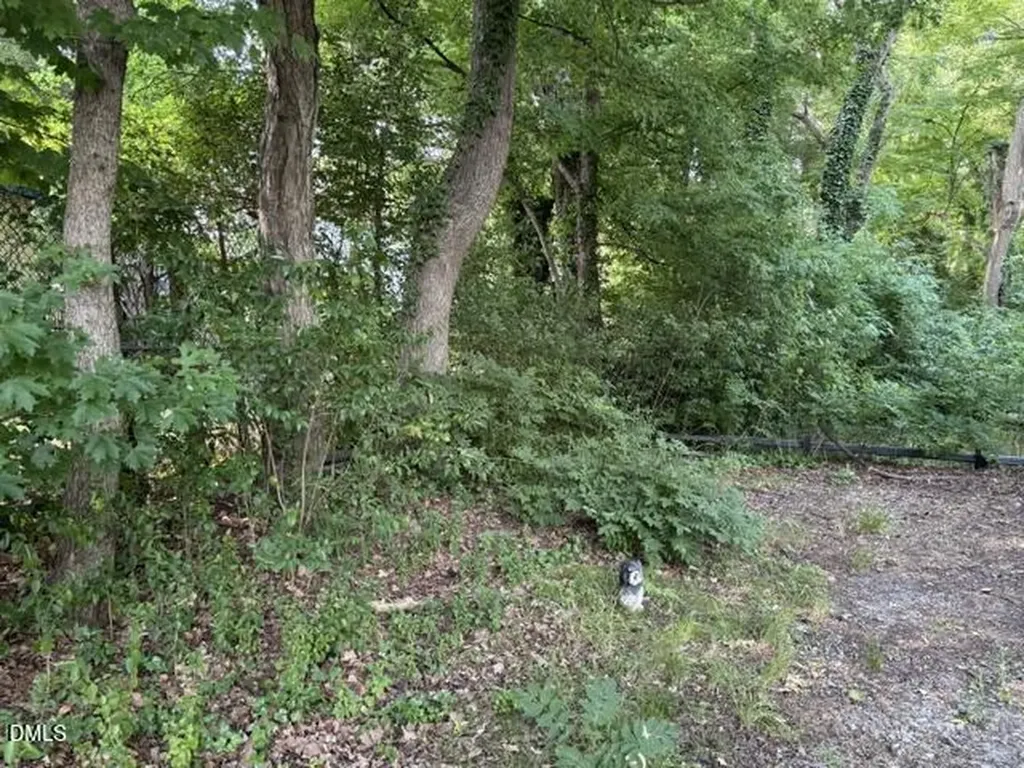 802 Walser Place Raleigh NC 27601