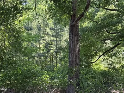 1.5 Ac Lot Country Club Road Roxboro NC 27574
