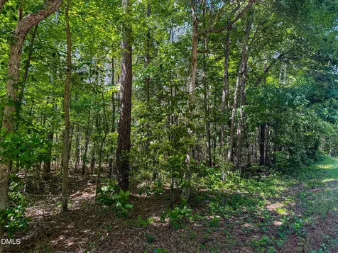 6.68 Ac Orange Grove Road Hillsborough NC 27278