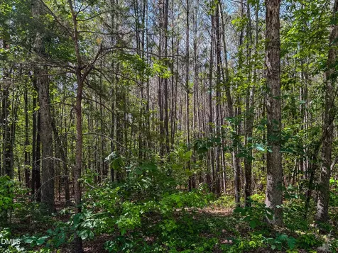 6.68 Ac Orange Grove Road Hillsborough NC 27278