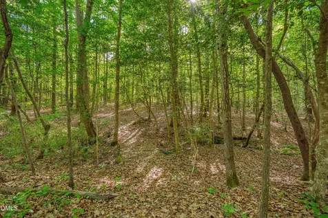 180 Great Woods Lane Youngsville NC 27596