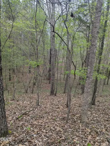 27 Sagefield Dev Henderson NC 27537