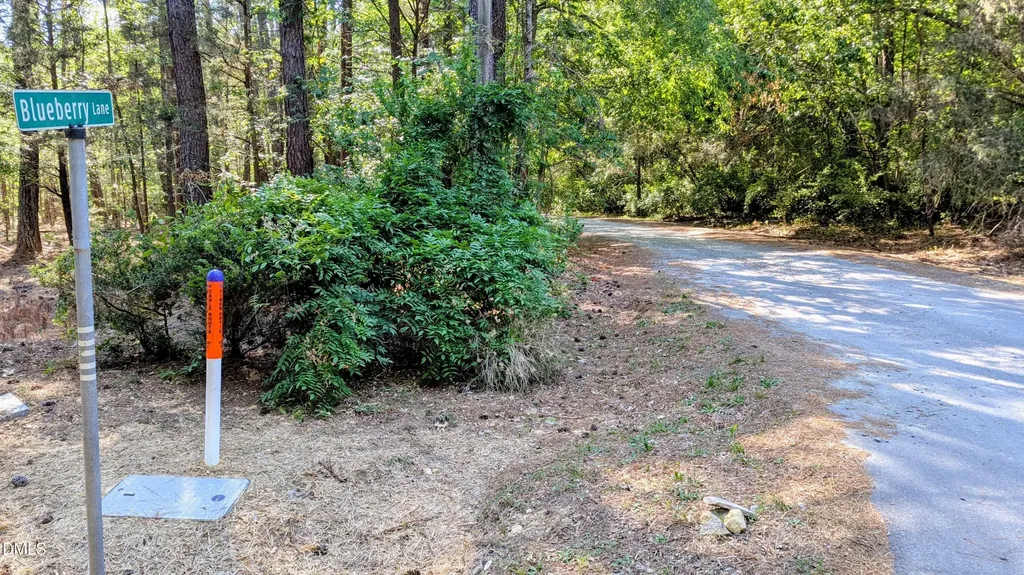 Lot 1 Blueberry Lane Chapel Hill NC 27516