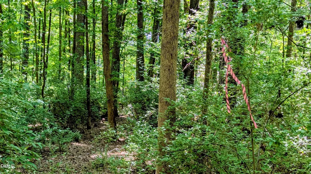 Lot 1 Blueberry Lane Chapel Hill NC 27516