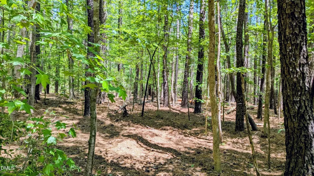 Lot 1 Blueberry Lane Chapel Hill NC 27516