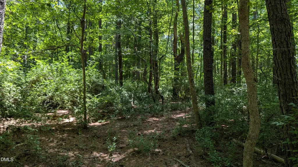 Lot 1 Blueberry Lane Chapel Hill NC 27516