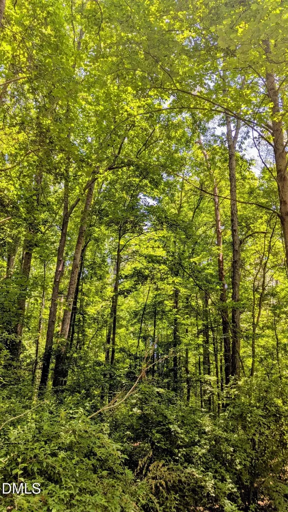 Lot 1 Blueberry Lane Chapel Hill NC 27516