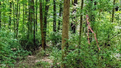 Lot 1 Blueberry Lane Chapel Hill NC 27516