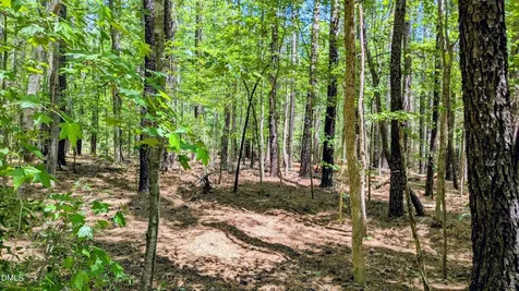 Lot 1 Blueberry Lane Chapel Hill NC 27516