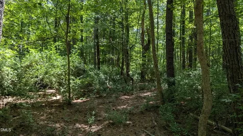 Lot 1 Blueberry Lane Chapel Hill NC 27516