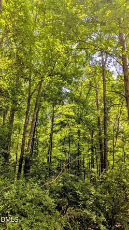 Lot 1 Blueberry Lane Chapel Hill NC 27516