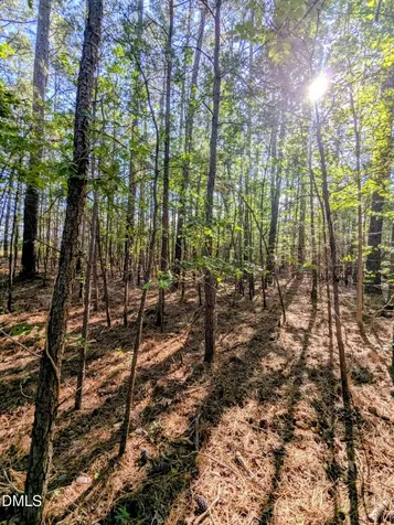 0 Nc 98 Highway E. Bunn NC 27508