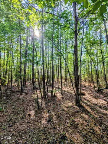 0 Nc 98 Highway E. Bunn NC 27508
