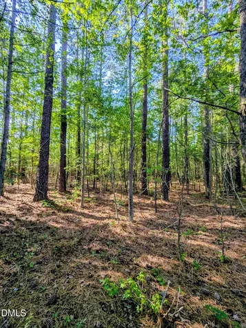 0 Nc 98 Highway E. Bunn NC 27508