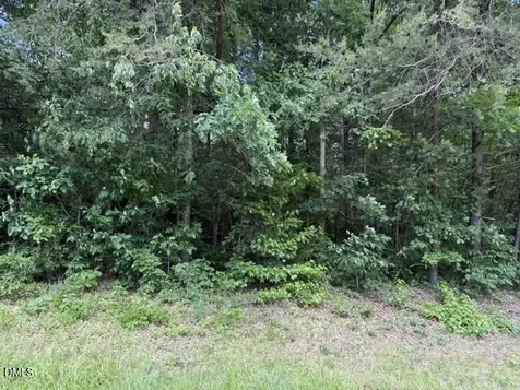 3415 Mt Willing Road Efland NC 27243