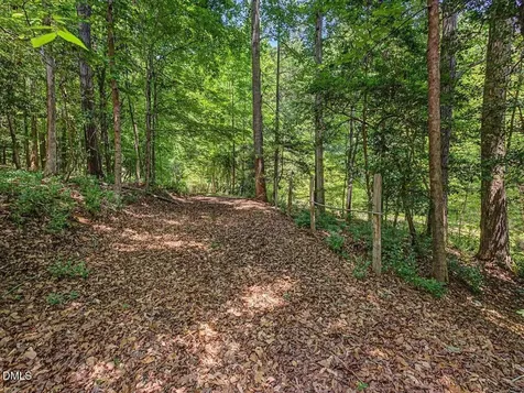 205 Anolis Drive Pittsboro NC 27312