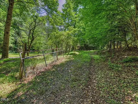 205 Anolis Drive Pittsboro NC 27312