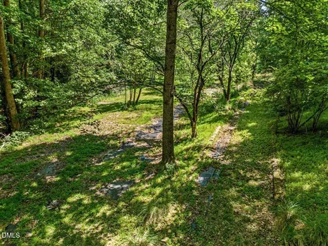 205 Anolis Drive Pittsboro NC 27312