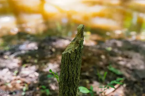 497 Turn Key Way Pittsboro NC 27312