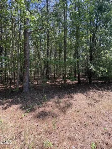 0 Jaback Zebulon NC 27597