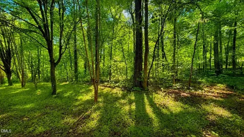 2018 Ramblewood Drive Apex NC 27523