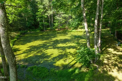 50 Robert Sledge Road Spring Hope NC 27882