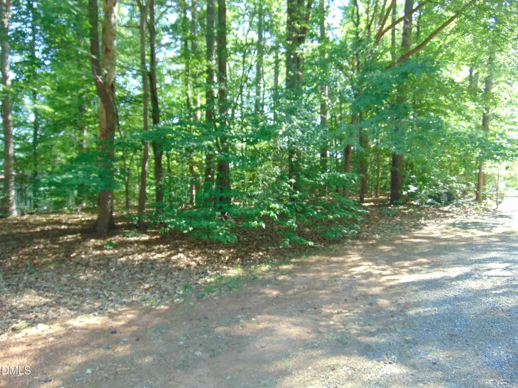 3107 Piney Point Drive Bullock NC 27507