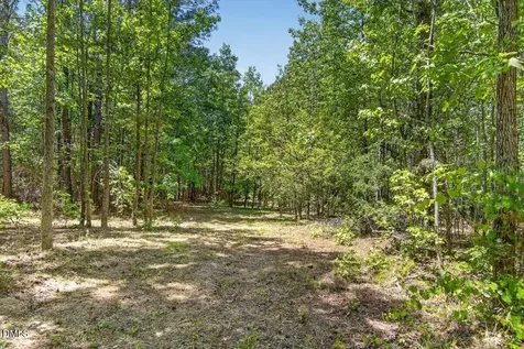 00 Lakepointe Drive Manson NC 27553