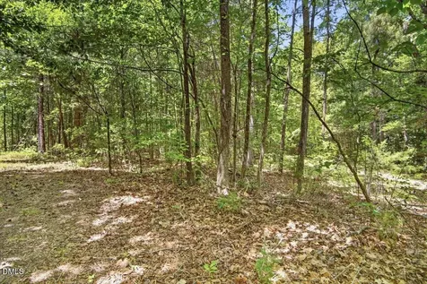 00 Lakepointe Drive Manson NC 27553