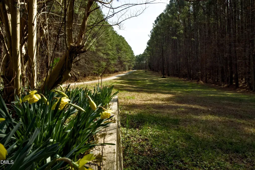 7023 Southern Trail Chapel Hill NC 27516