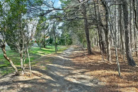 1007 Tender Drive Apex NC 27502