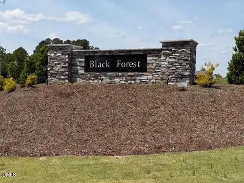 188 Black Forest Pointe Trail Benson NC 27504