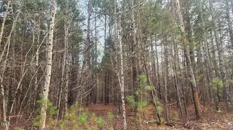 00 Northpointe Farms Trail Efland NC 27243