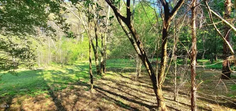 52 Go Cart Road Four Oaks NC 27524