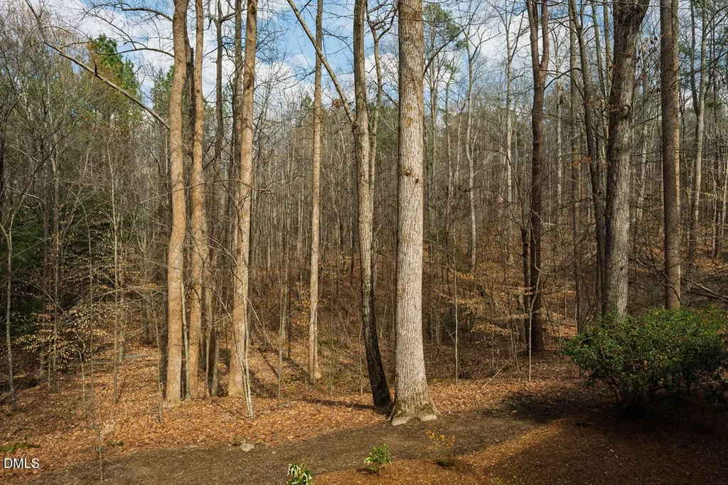 Lot 1 Marvin Edwards Lane Chapel Hill NC 27517