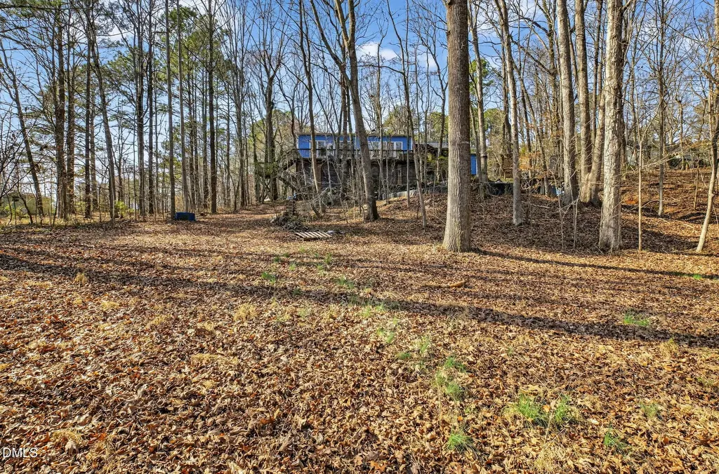 115 Felicia Court Clayton NC 27520