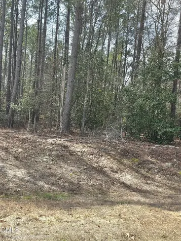 275 Raynor Sands Drive Dunn NC 28334
