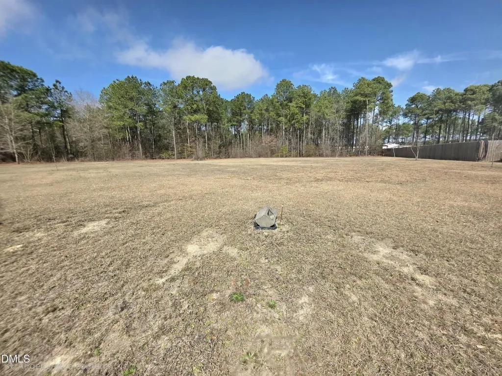 290 Raynor Sands Drive Dunn NC 28334