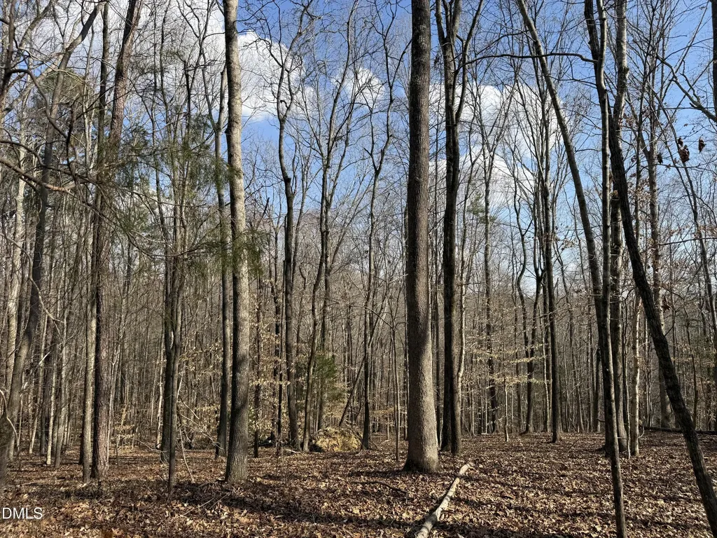 0 Birch Creek Farm Lane Franklinton NC 27525